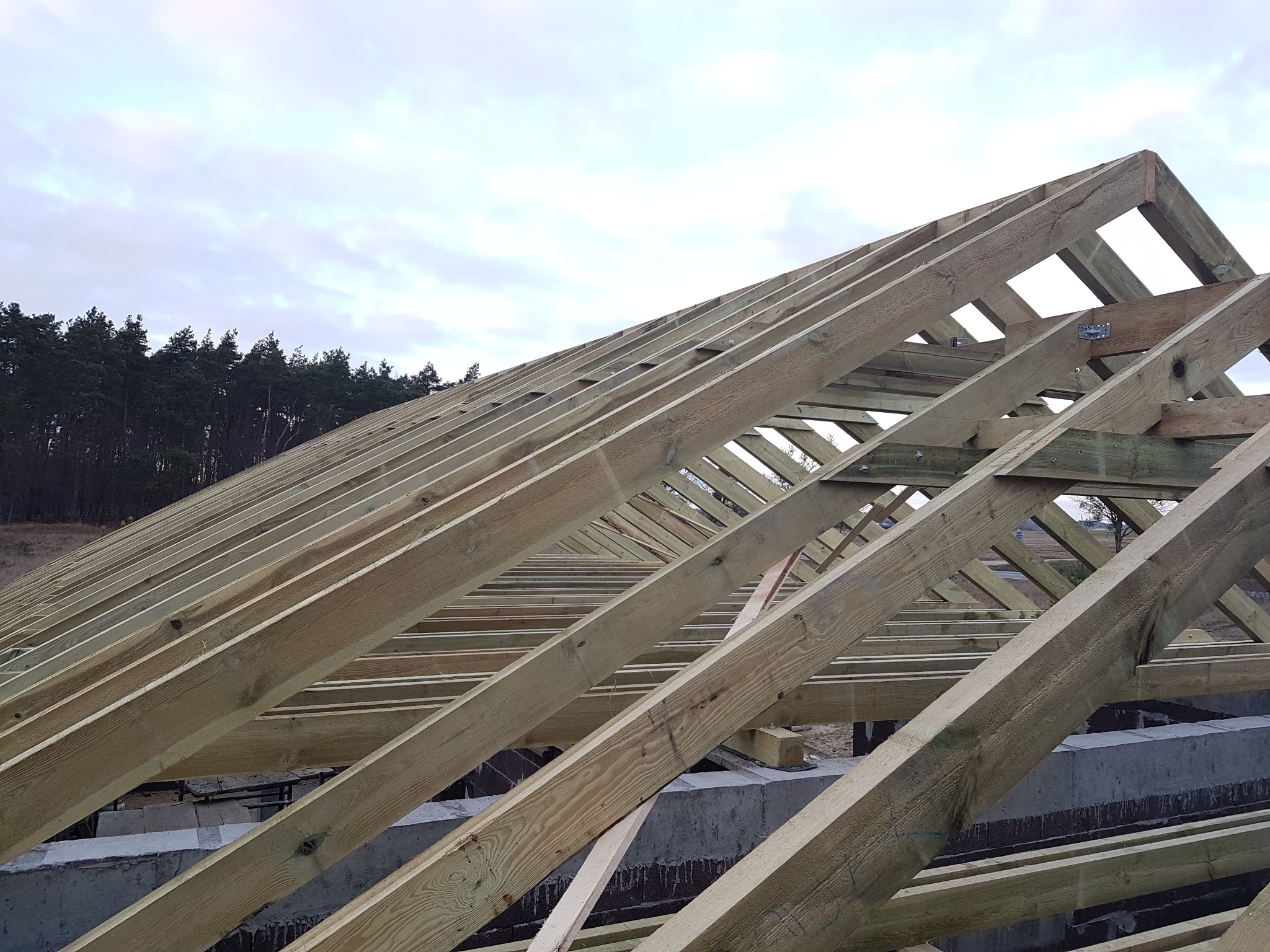 Surowa konstrukcja drewnianej więźby dachowej z widocznymi metalowymi łącznikami, na tle pochmurnego nieba i lasu w oddali.