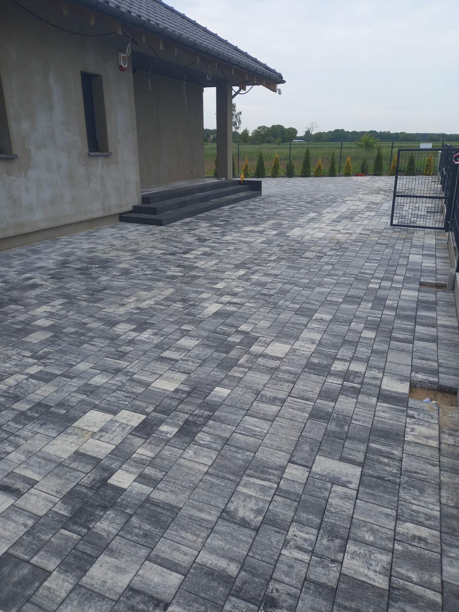 Szara kostka brukowa ułożona na posesji przed domem z ciemnymi schodami wejściowymi, widoczne ogrodzenie i rząd tuj w tle.