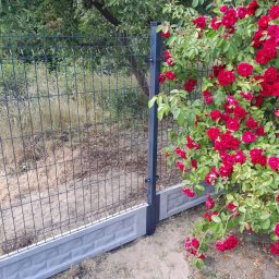 Montaż ogrodzeń Kartuzy 4