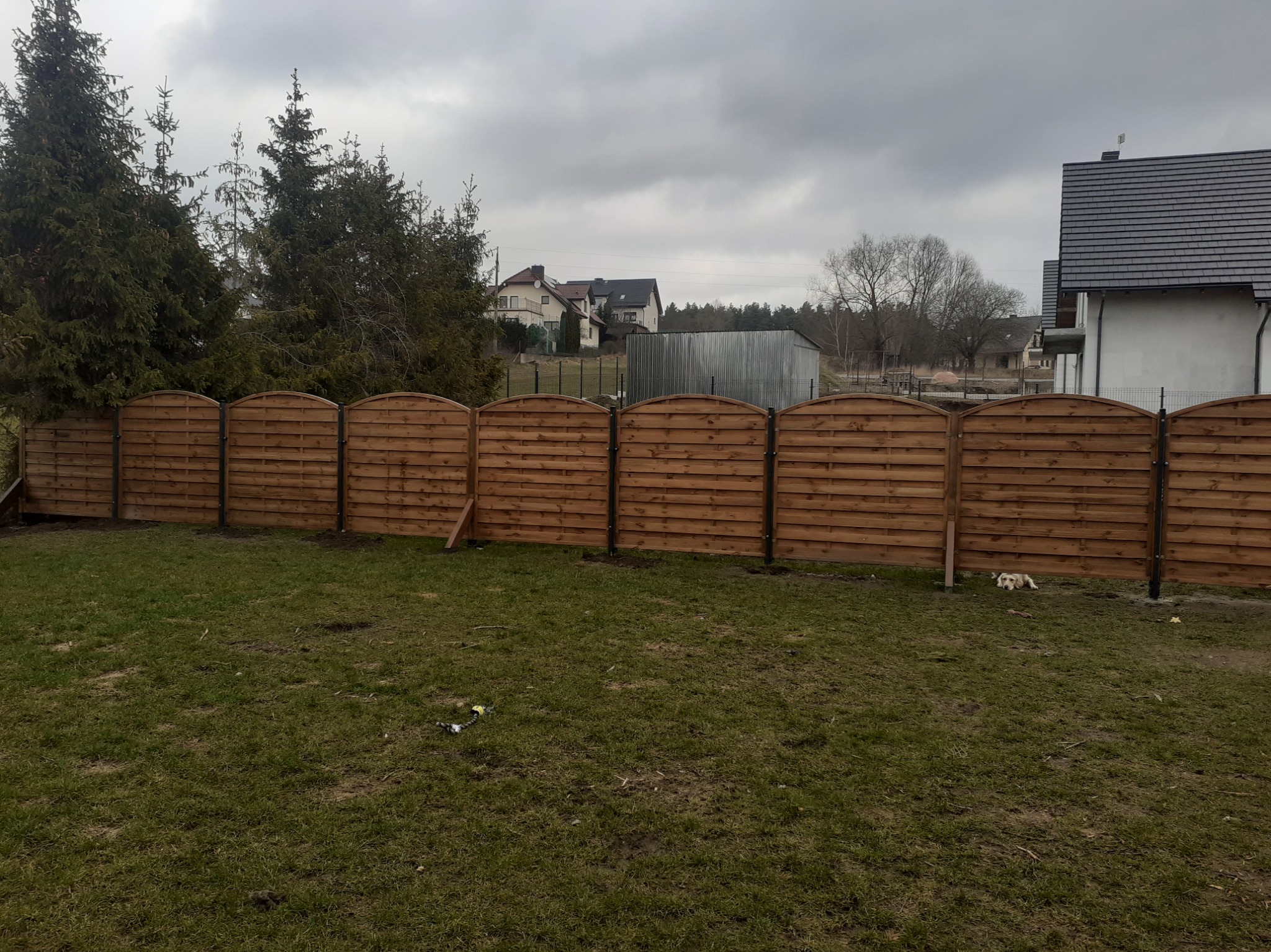 Drewniane ogrodzenie panelowe z metalowymi słupkami na tle zielonego trawnika, z widocznymi domami w oddali i pochmurnym niebem. Pies leży pod ogrodzeniem.
