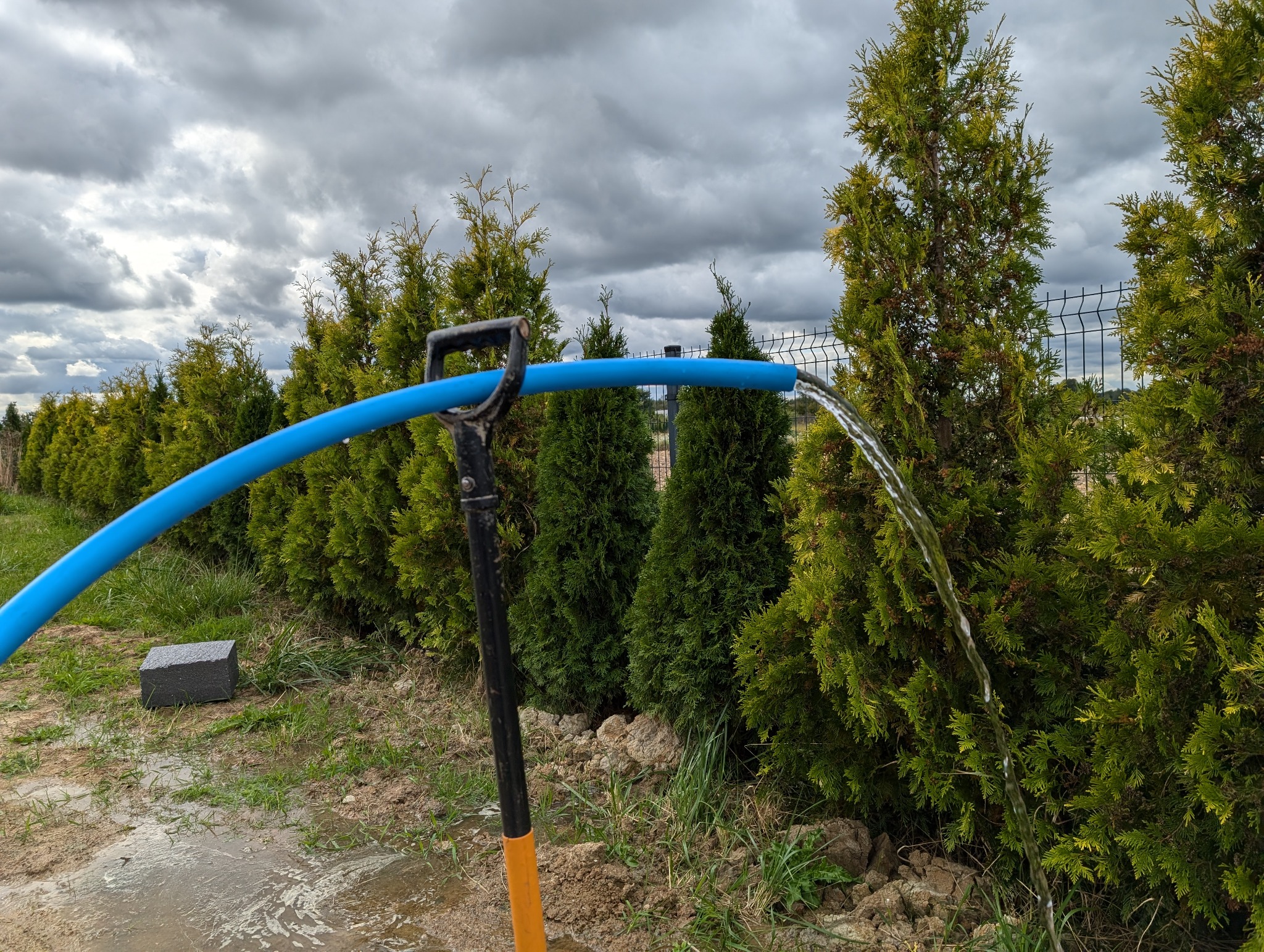 Woda wypływająca z niebieskiego węża, podtrzymywanego przez szpadel z czarnym uchwytem i pomarańczowym trzonkiem, na tle rzędu tuj i pochmurnego nieba. Test wydajności studni głębinowej.