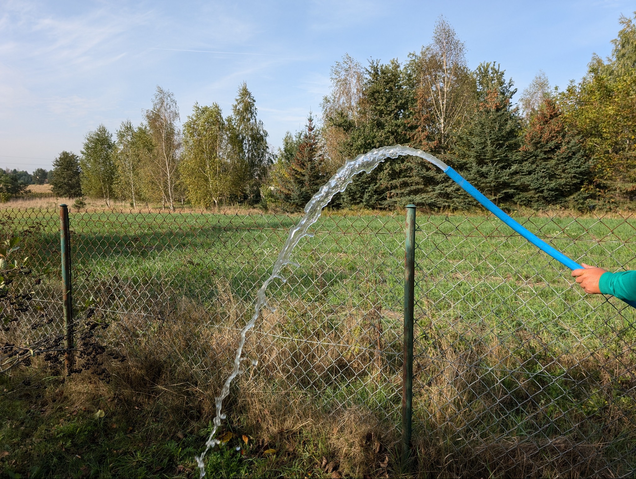 Strumień wody z niebieskiego węża ogrodowego skierowany nad metalową siatką ogrodzeniową na tle drzew i nieba.