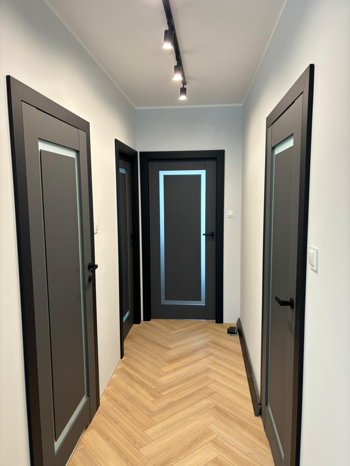 Korytarz z trzema ciemnoszarymi drzwiami z przeszkleniami, podłoga wyłożona panelami ułożonymi w jodełkę, oświetlenie szynowe sufitowe.