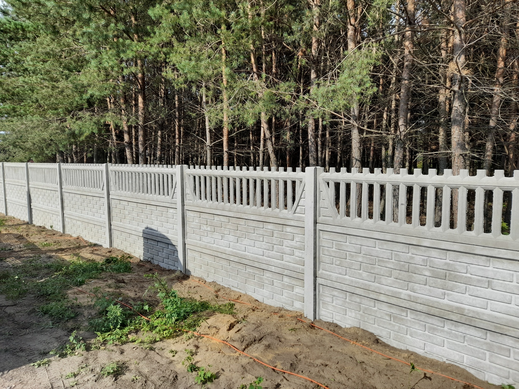 Nowo postawione, prefabrykowane ogrodzenie betonowe z dekoracyjnymi przęsłami, imitujące mur z cegły, na tle lasu sosnowego, z widocznymi śladami prac ziemnych i pomarańczowymi kablami na ziemi.