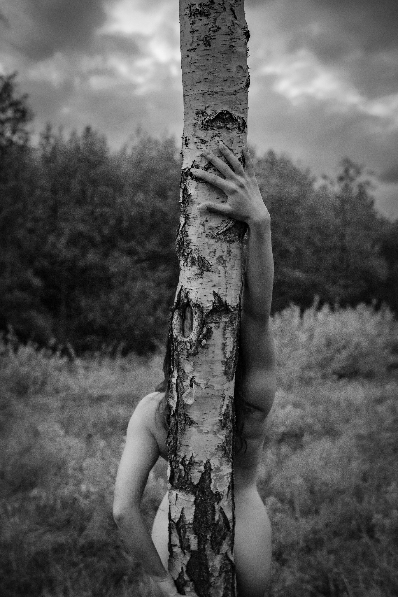 Czarno-białe zdjęcie kobiety obejmującej brzozę na tle łąki i pochmurnego nieba, z ręką dotykającą kory drzewa. Artystyczny akt w plenerze.