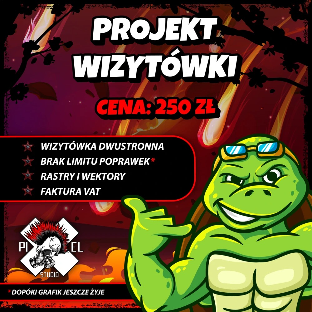 Projekt wizytówki: dwustronna, bez limitu poprawek, rastry i wektory, faktura VAT. Cena: 250 zł. Grafika z kreskówkową postacią żółwia w okularach.