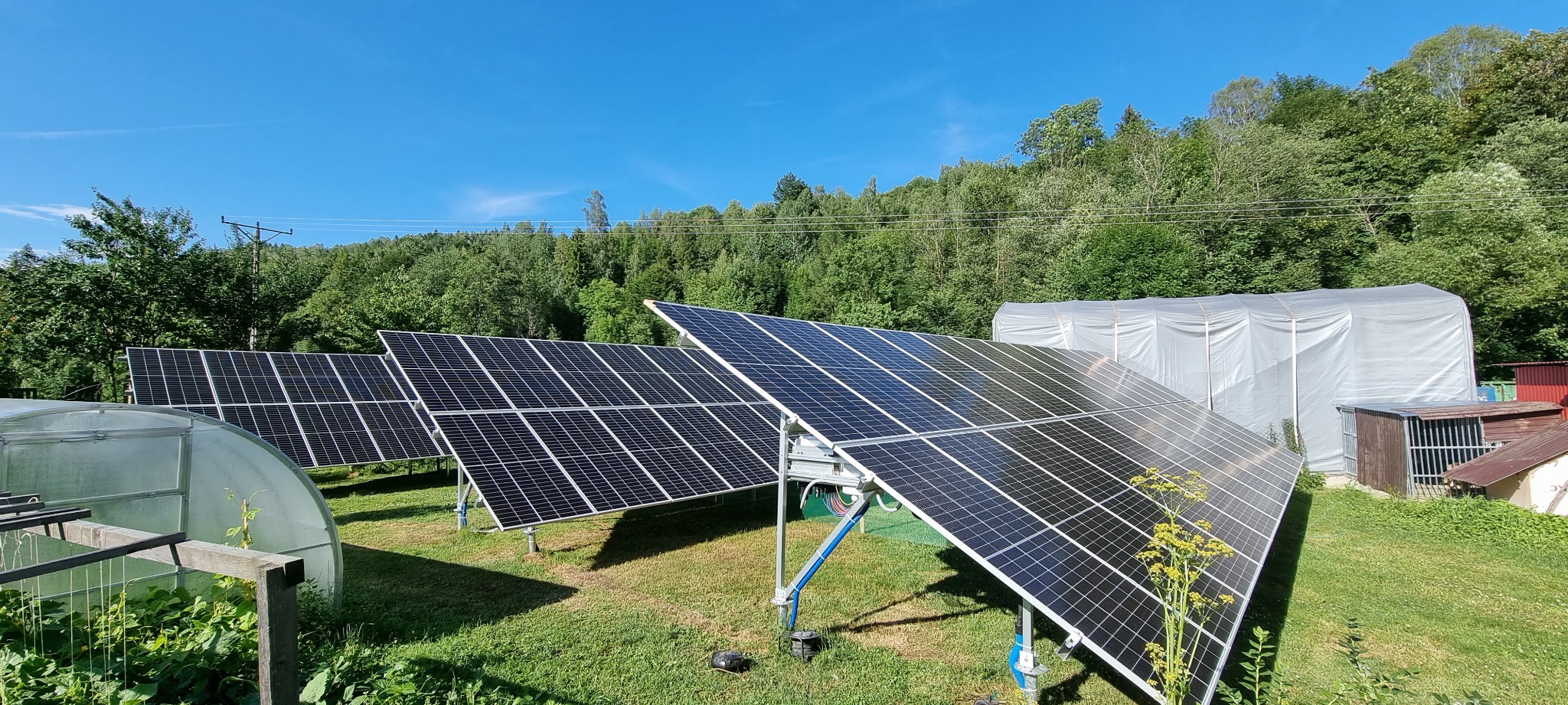 Rząd paneli słonecznych na trawiastym terenie, z widoczną szklarnią i zalesionym wzgórzem w tle, w słoneczny dzień.