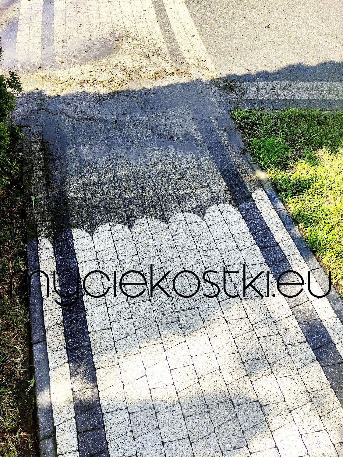 Częściowo umyta kostka brukowa z widoczną różnicą w kolorze między czystą a brudną powierzchnią, z zielenią w tle i adresem strony internetowej nałożonym na zdjęcie.