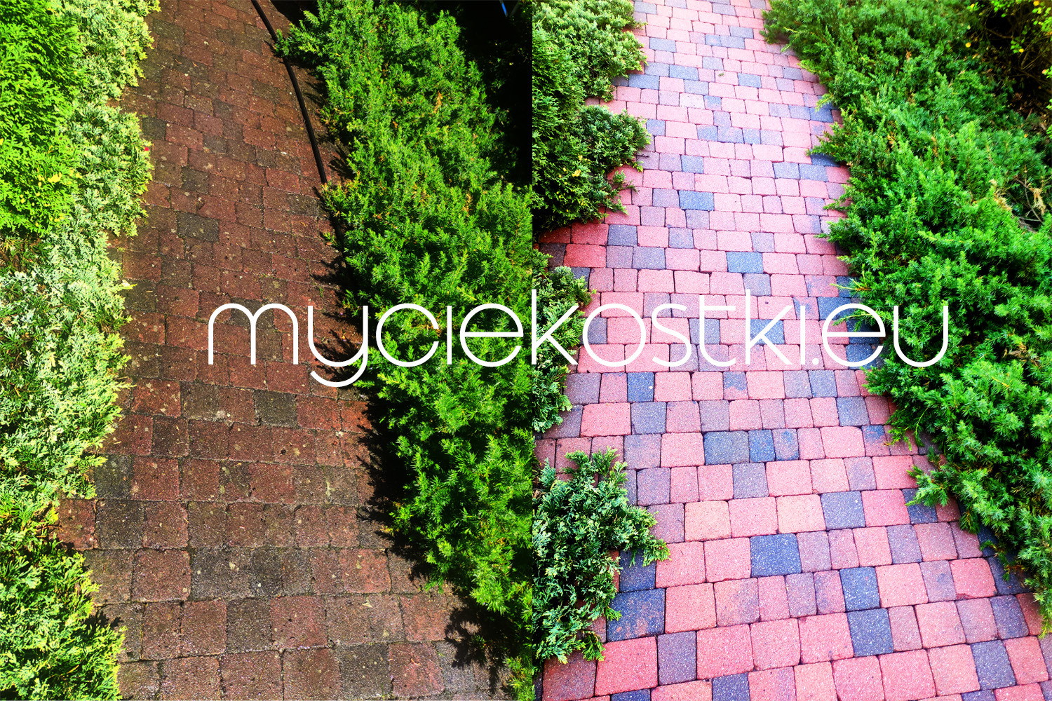 Porównanie kostki brukowej przed i po czyszczeniu, z zielonymi krzewami po bokach, widoczny efekt odświeżenia koloru i usunięcia zabrudzeń.