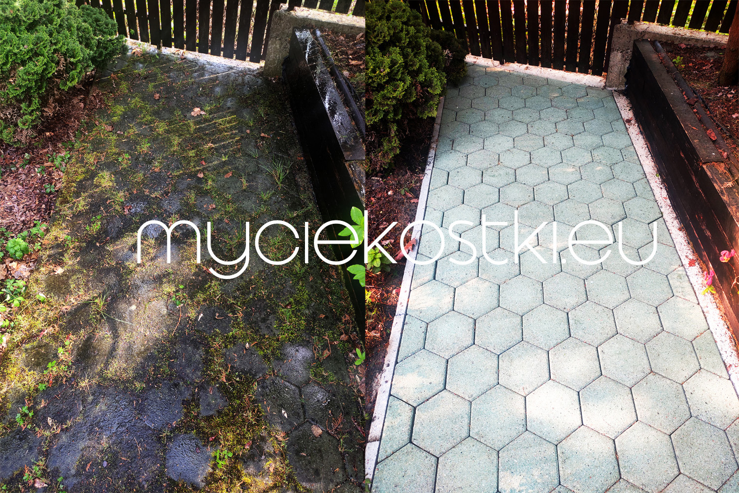 Porównanie kostki brukowej przed i po czyszczeniu: zarośnięta mchem i czysta, heksagonalna kostka brukowa w ogrodzie.