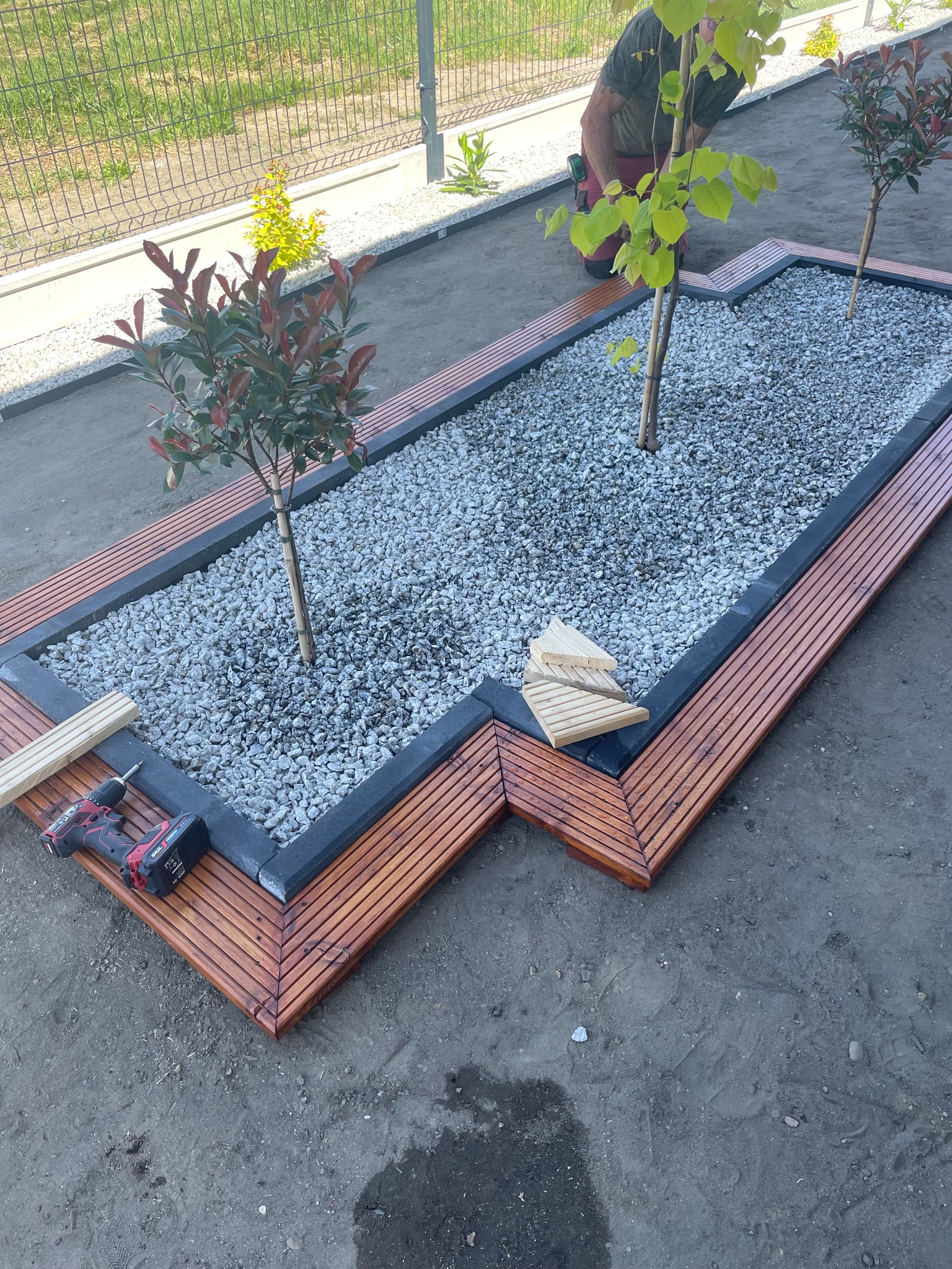 Wysoka perspektywa na rabatę z drewnianą obudową, wypełnioną białym grysem i trzema młodymi drzewkami, z widocznym wkrętakiem akumulatorowym i fragmentami drewnianej konstrukcji w trakcie montażu.