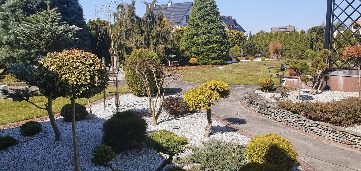 Starannie zaprojektowany ogród z równo przystrzyżonym trawnikiem, ścieżką z kamiennych płyt, ozdobnymi krzewami i drzewami o kulistych koronach, wysypany drobnym białym kamieniem.