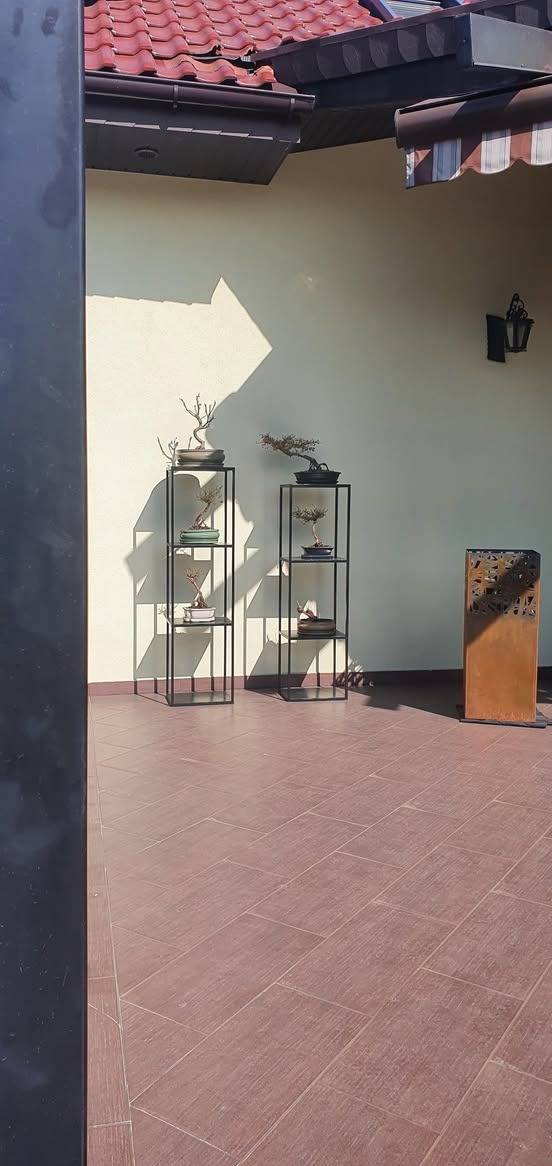 Dwa metalowe regały z bonsai na tarasie z brązowych płytek, oświetlone popołudniowym słońcem, z dekoracyjnym metalowym lampionem w tle.