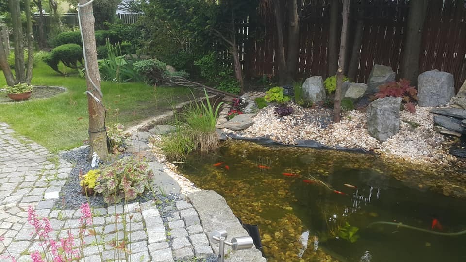 Oczko wodne z pomarańczowymi rybkami, otoczone kamieniami, roślinami i kostką brukową, widoczne z góry, z elementami dekoracyjnymi ogrodu w tle.