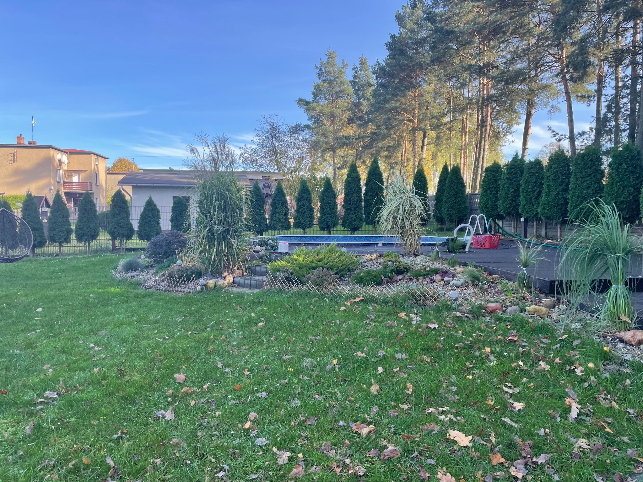 Ogród z basenem otoczonym ozdobnymi trawami, kamieniami i tujami, widok na budynek mieszkalny w tle.