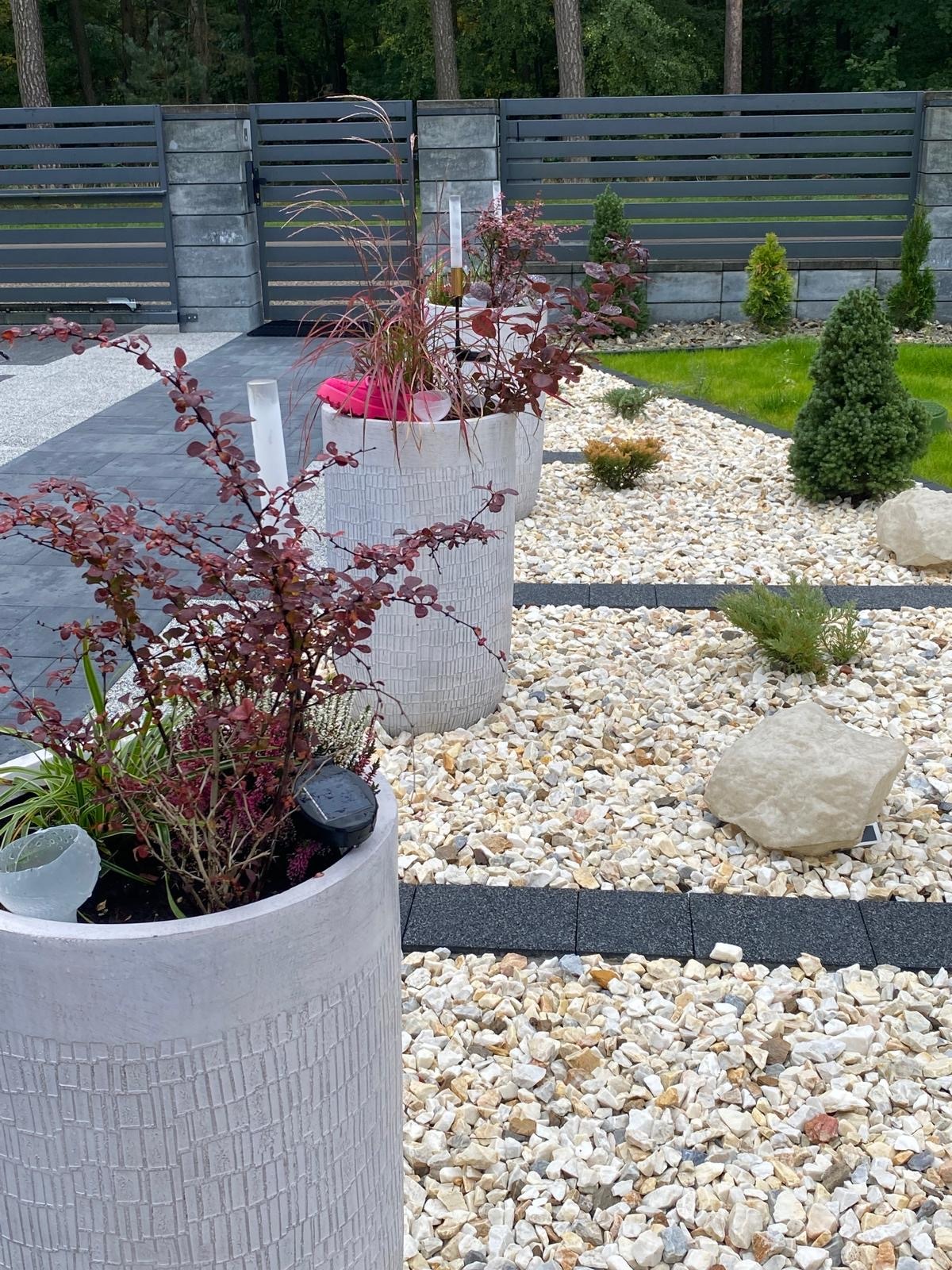 Uporządkowany ogród z ozdobnymi, betonowymi donicami z roślinami o czerwonych liściach, białym żwirem, kamieniami oraz niskimi krzewami iglastymi, wykończony szarą kostką brukową i ogrodzeniem...