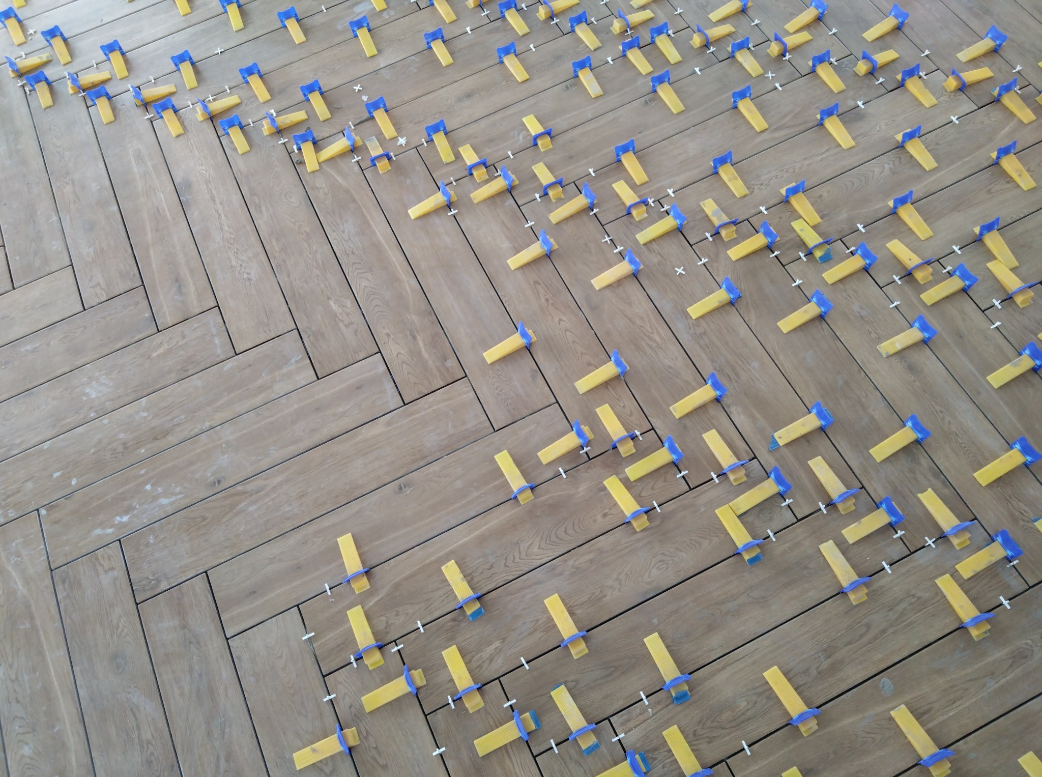 Układanie parkietu w jodełkę z użyciem żółto-niebieskich klinów poziomujących. Widok z góry na drewnopodobne panele podłogowe w trakcie montażu.