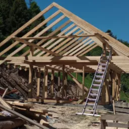 Konstrukcja drewniana dachu w trakcie budowy, widoczna więźba dachowa i elementy nośne, drabina oparta o konstrukcję, w tle drzewa i błękitne niebo.