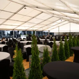 Wnętrze białego namiotu eventowego z okrągłymi stołami nakrytymi białymi obrusami, czarnymi krzesłami i rzędem zielonych drzewek w doniczkach, drewniana podłoga, przygotowania do wydarzenia.