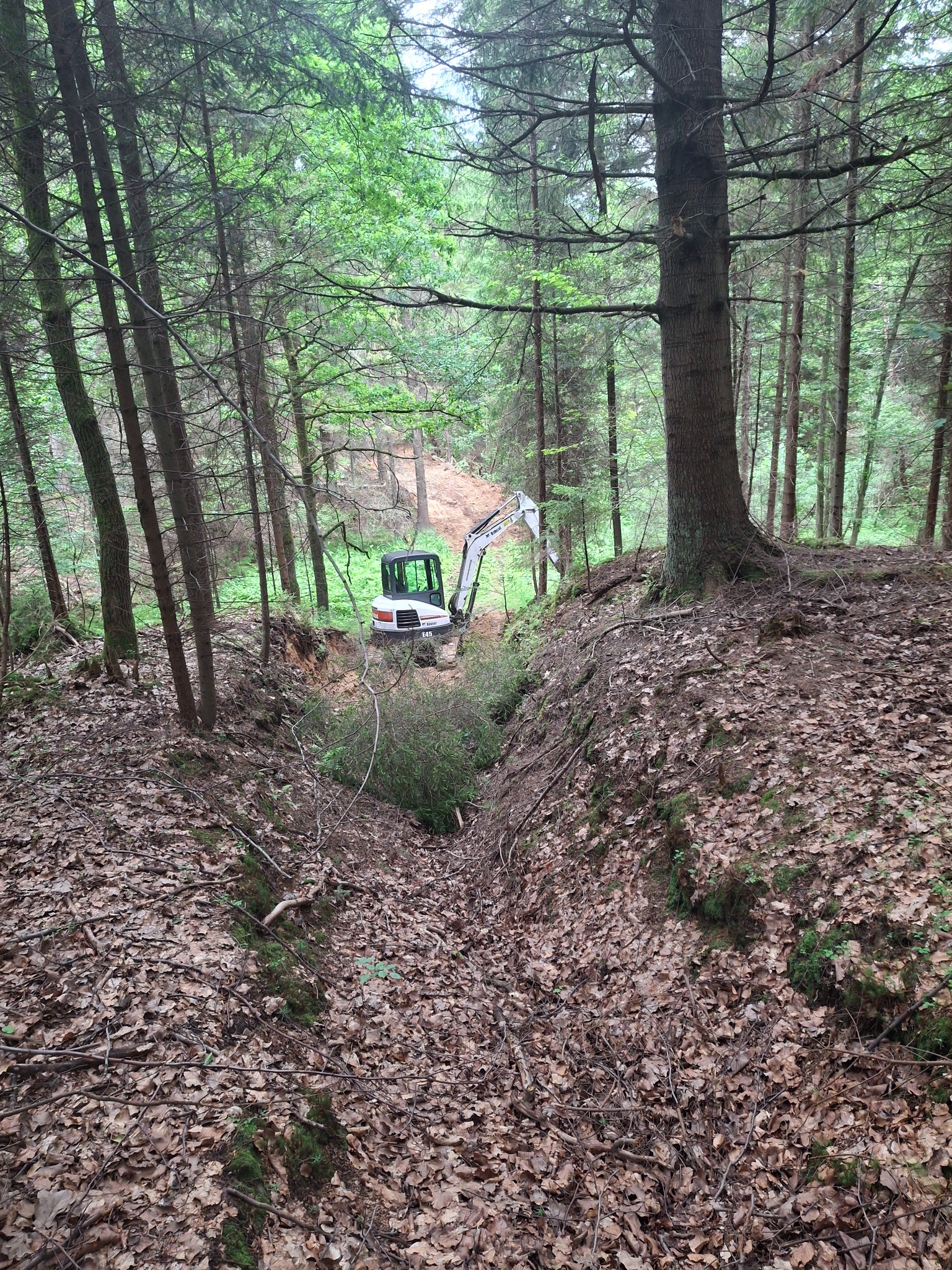 Mała koparka Bobcat E45 w lesie, przygotowująca teren pod budowę, widok z góry na wykopany rów pokryty liśćmi.