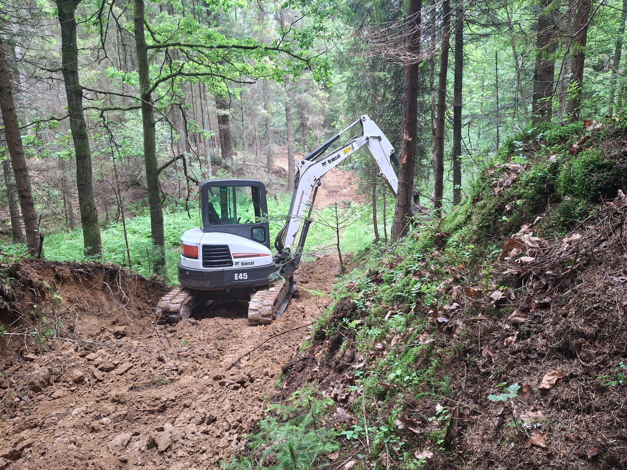 Biała mini koparka Bobcat E45 toruje drogę w gęstym lesie, widoczna świeżo naruszona ziemia i otaczająca roślinność.