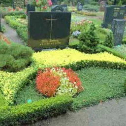 Uporządkowany grób z niskim żywopłotem, kolorowymi kwiatami i krzewami, w tle nagrobki na cmentarzu.