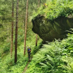 Mężczyzna w kasku i uprzęży, z linami na plecach, stoi na ścieżce w gęstym lesie, obok porośniętego mchem głazu.
