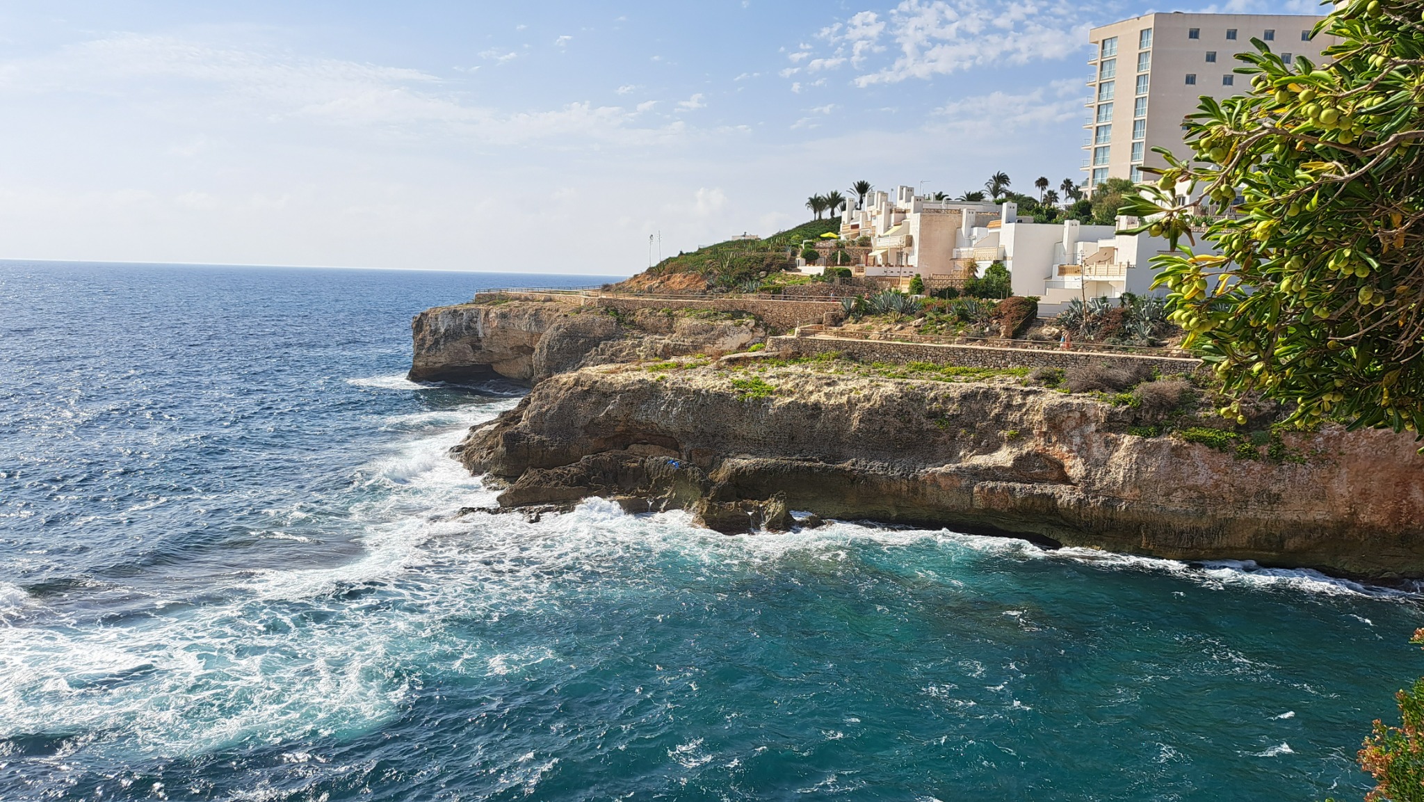 Widok na klif z budynkami mieszkalnymi na szczycie, błękitne morze z falami uderzającymi o skały, drzewo z zielonymi owocami w prawym górnym rogu.