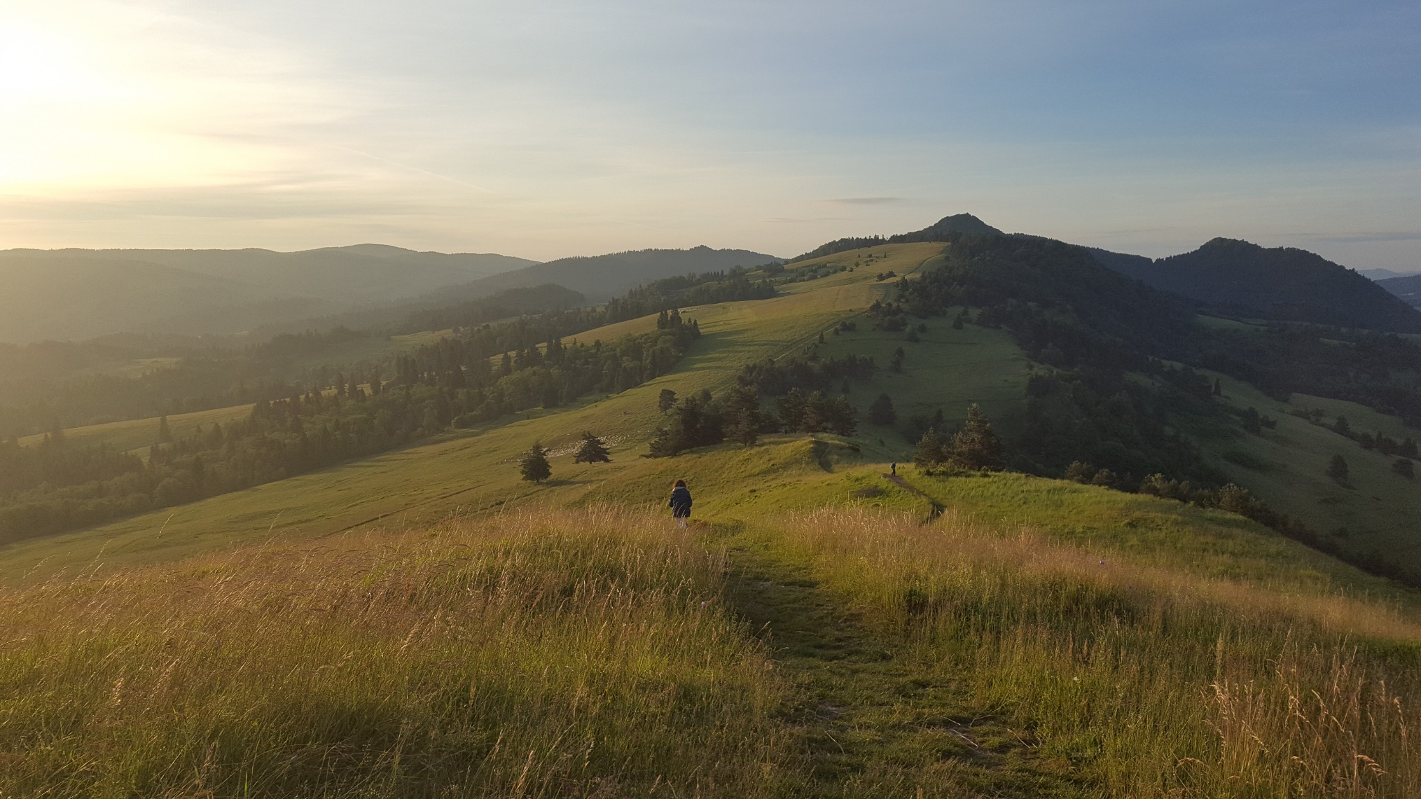 Pejzaż górski o wschodzie słońca z osobą wędrującą ścieżką przez łąkę porośniętą trawą, w tle zalesione wzgórza i błękitne niebo.