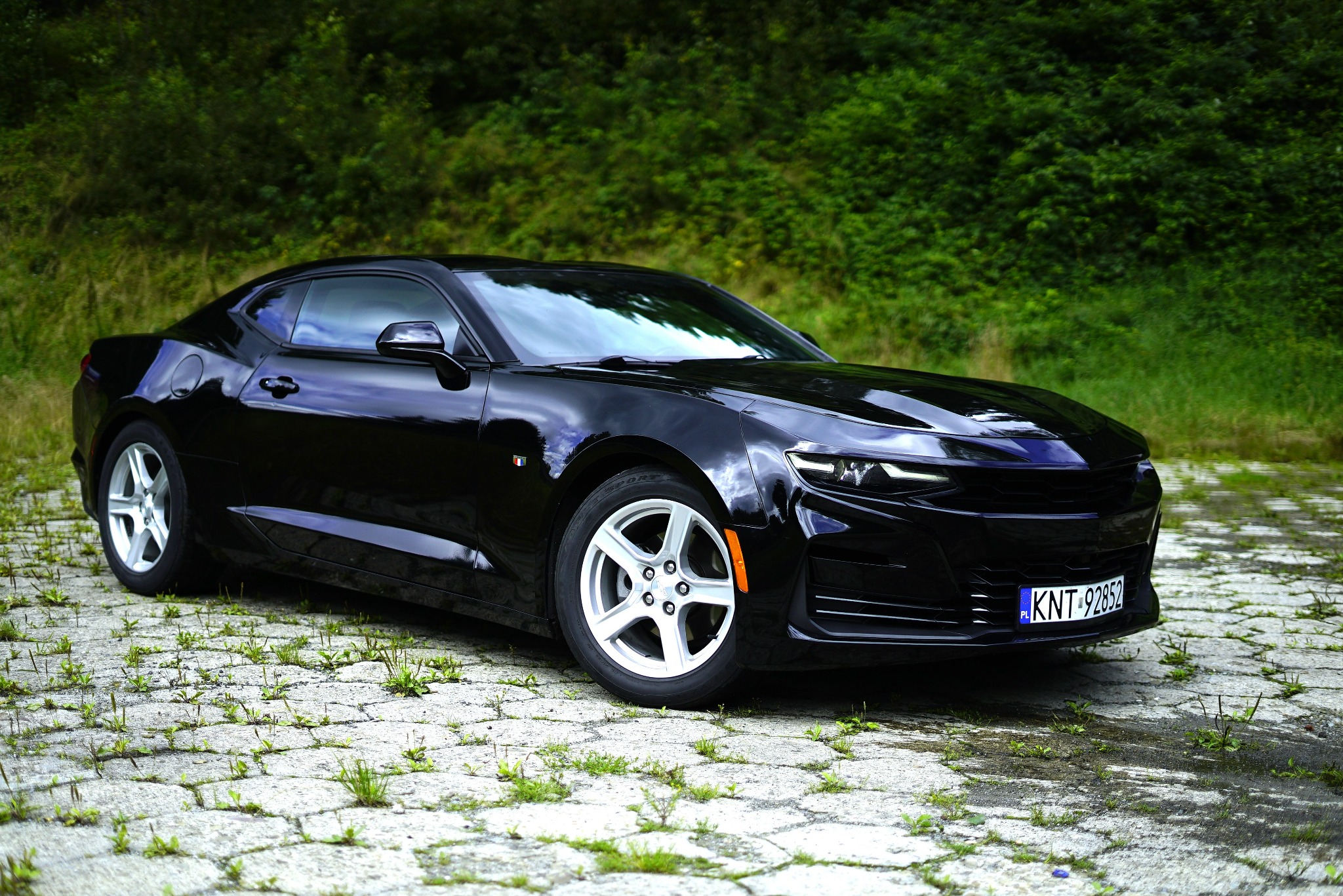 Błyszczący, czarny samochód Chevrolet Camaro z białymi felgami, zaparkowany na betonowej kostce z wyrastającą trawą, na tle zieleni drzew.