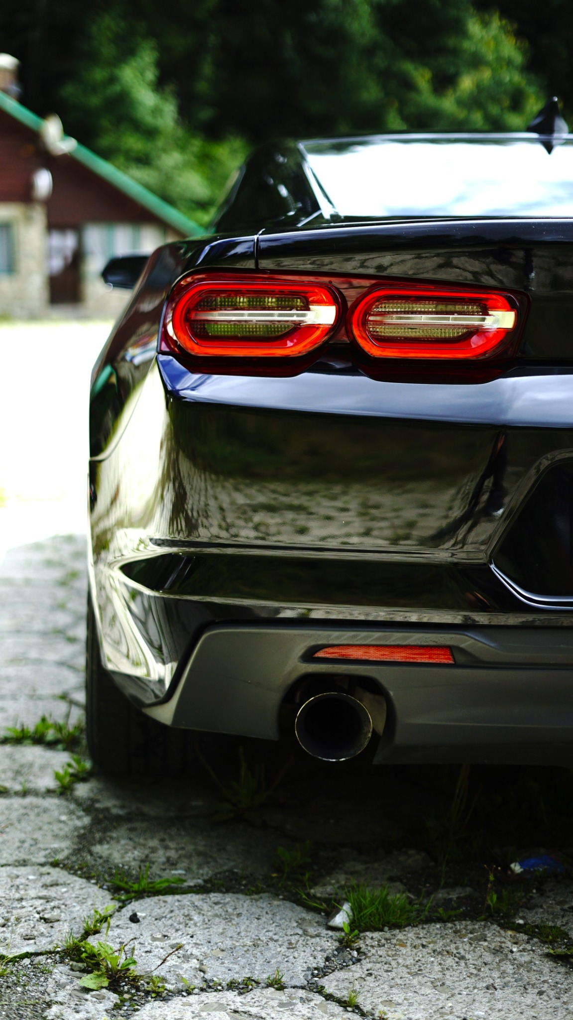 Tył czarnego samochodu sportowego z charakterystycznymi, podwójnymi światłami w kształcie okręgów, widoczny pojedynczy wydech po lewej stronie, na tle zarośniętej kostki brukowej i fragmentu budynku.
