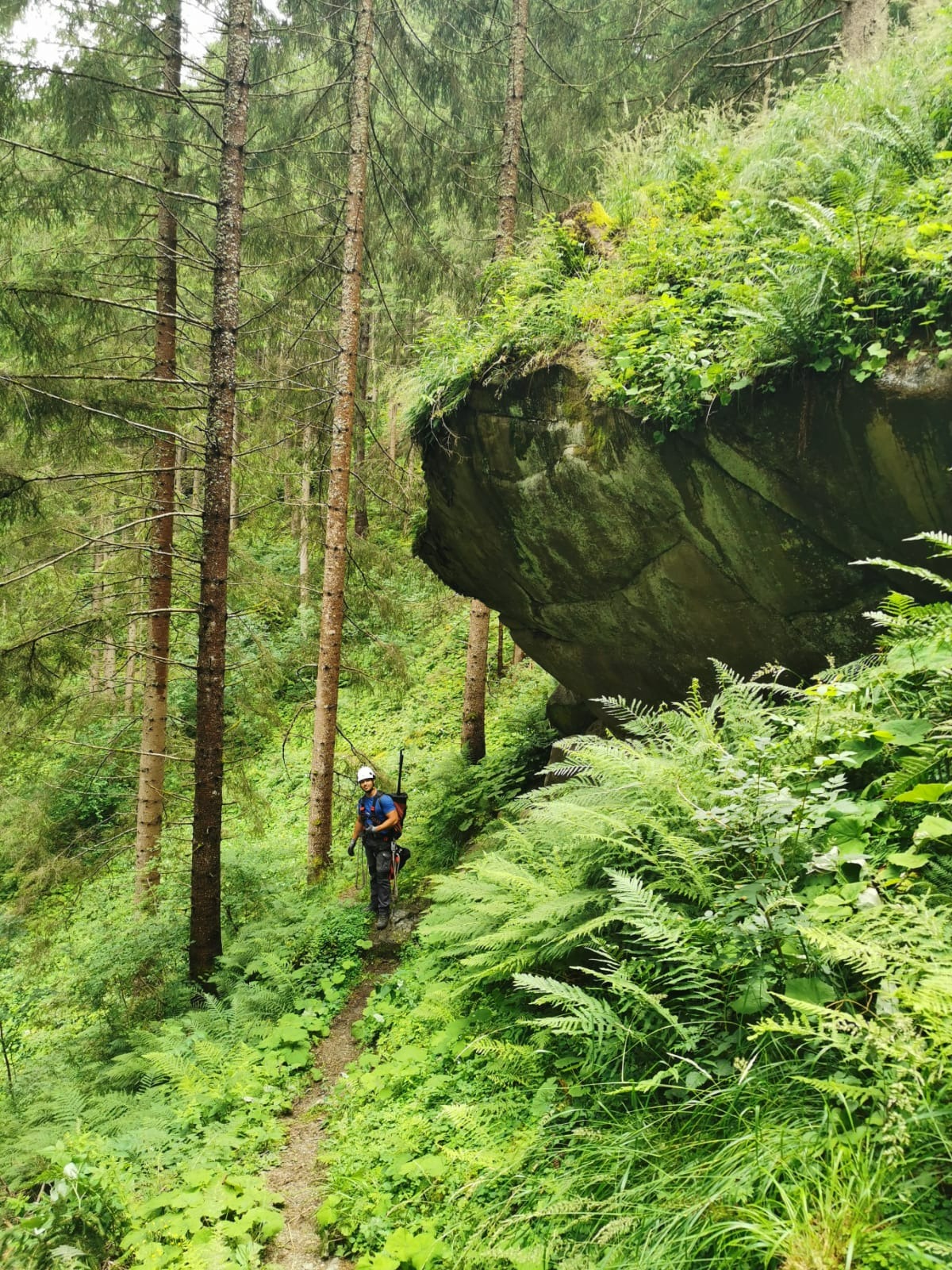 Mężczyzna w kasku i uprzęży, z linami na plecach, stoi na ścieżce w gęstym lesie, obok porośniętego mchem głazu.