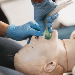 Centrum Szkoleń Medycznych AQUAMED - Manekin do nauki RKO z założoną maską krtaniową przez osobę w niebieskich rękawiczkach, symulacja medyczna, kurs pierwszej pomocy.