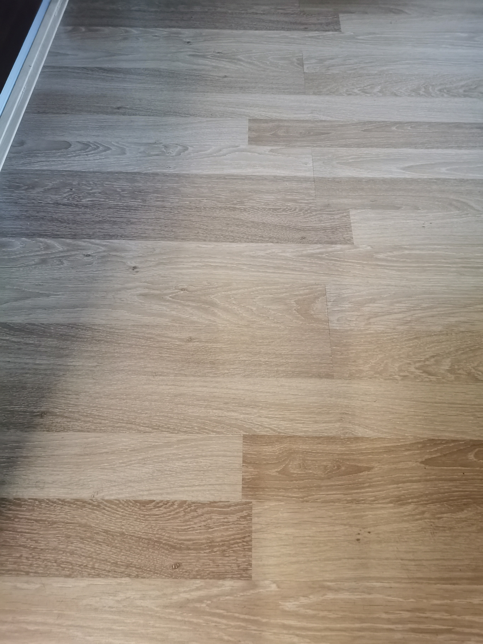 Jasne panele podłogowe z widoczną strukturą drewna, ułożone równolegle do ściany z listwą przypodłogową.