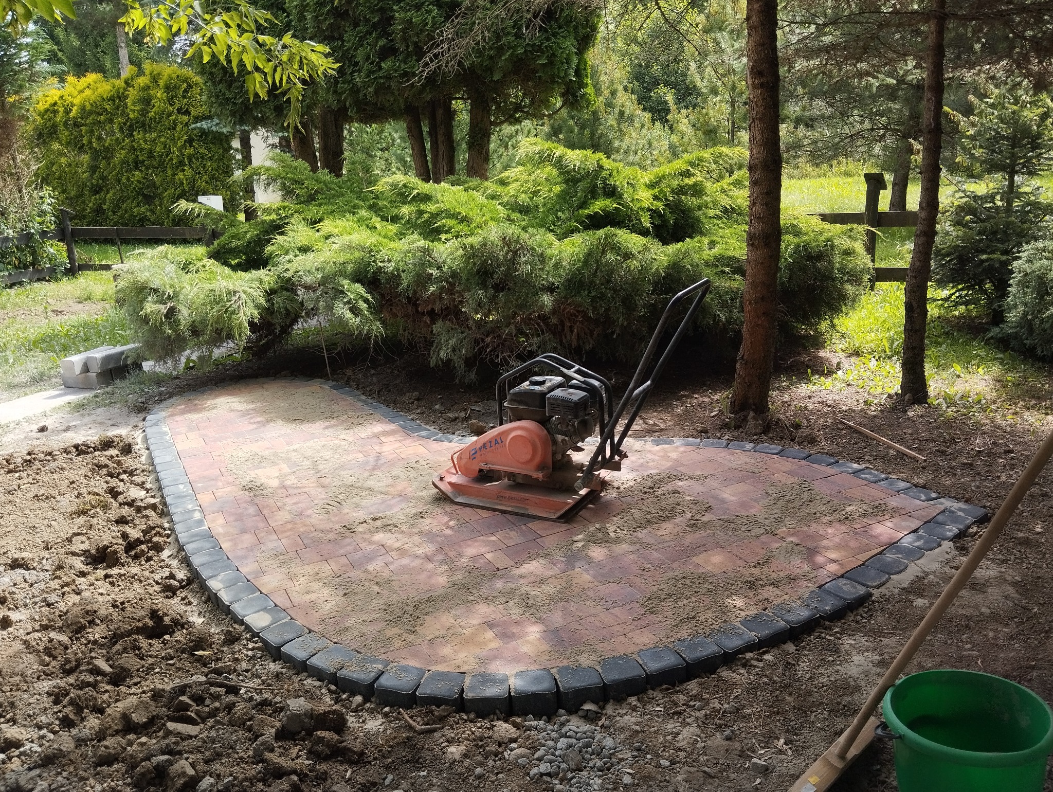 Wibro ubijak na świeżo ułożonej, częściowo zasypanej piaskiem, czerwono-brązowej kostce brukowej z czarnym obrzeżem, na tle zieleni ogrodowej