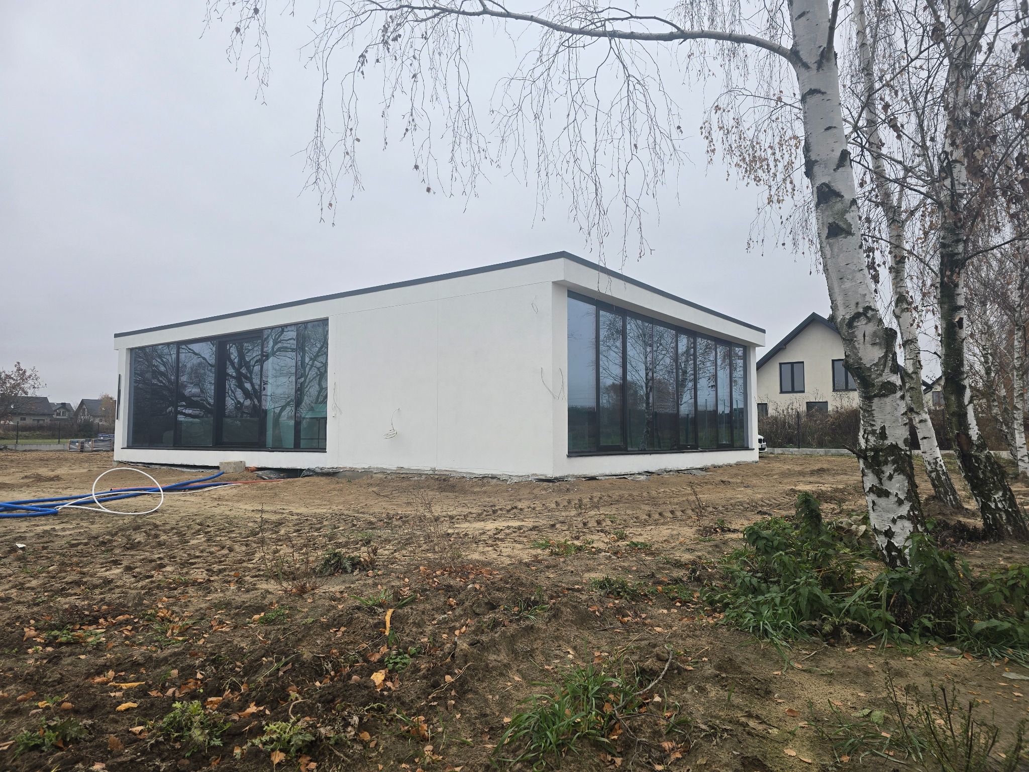 Nowoczesny, parterowy dom z dużymi oknami, otoczony brzózkami i przygotowanym terenem pod ogród, w tle widoczny inny dom.