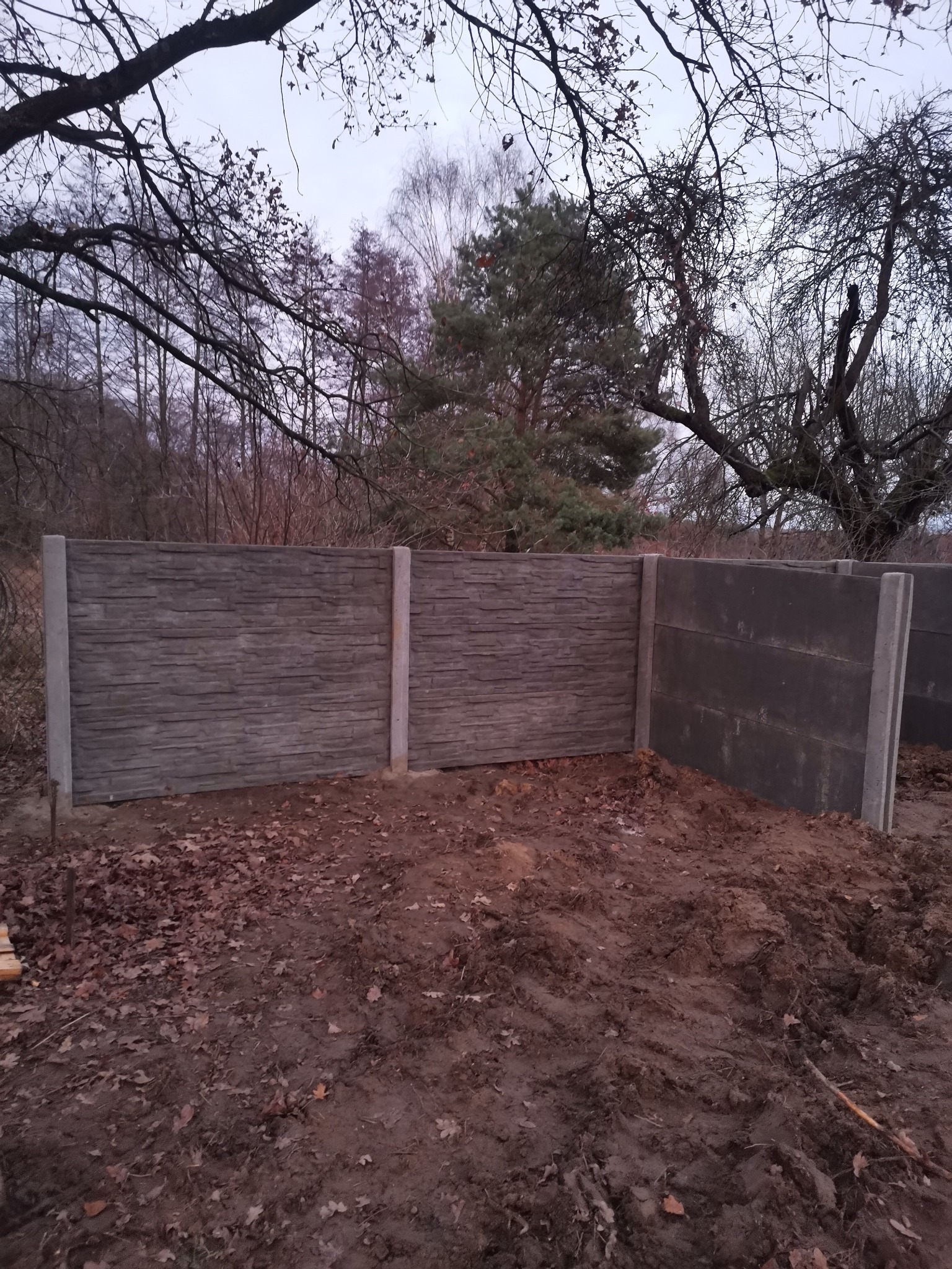 Fragment nowo postawionego ogrodzenia z betonowych płyt imitujących kamień, widoczne słupki i płyty w surowym otoczeniu działki z drzewami w tle.