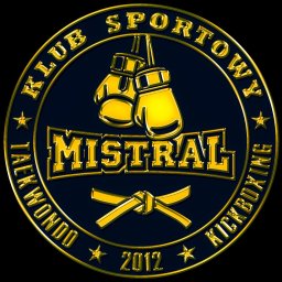 Kluby sportowe, treningi Wojkowice 1