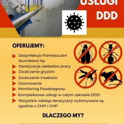 Profesjonalne Usługi DDD - Deratyzacja Brzozówka