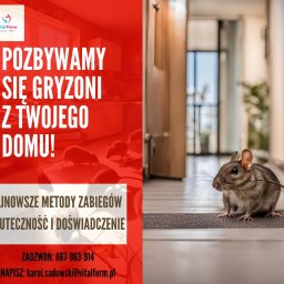 Dezynsekcja i deratyzacja Brzozówka 1