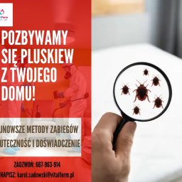 Dezynsekcja i deratyzacja Brzozówka 2