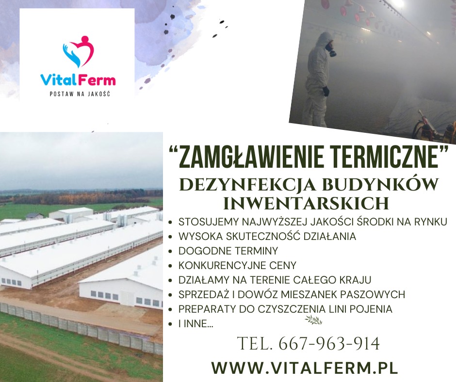 Plakat reklamowy firmy oferującej zamgławianie termiczne i dezynfekcję budynków inwentarskich, z widokiem na budynki gospodarcze i pracownika w kombinezonie ochronnym podczas zabiegu zamgławiania.