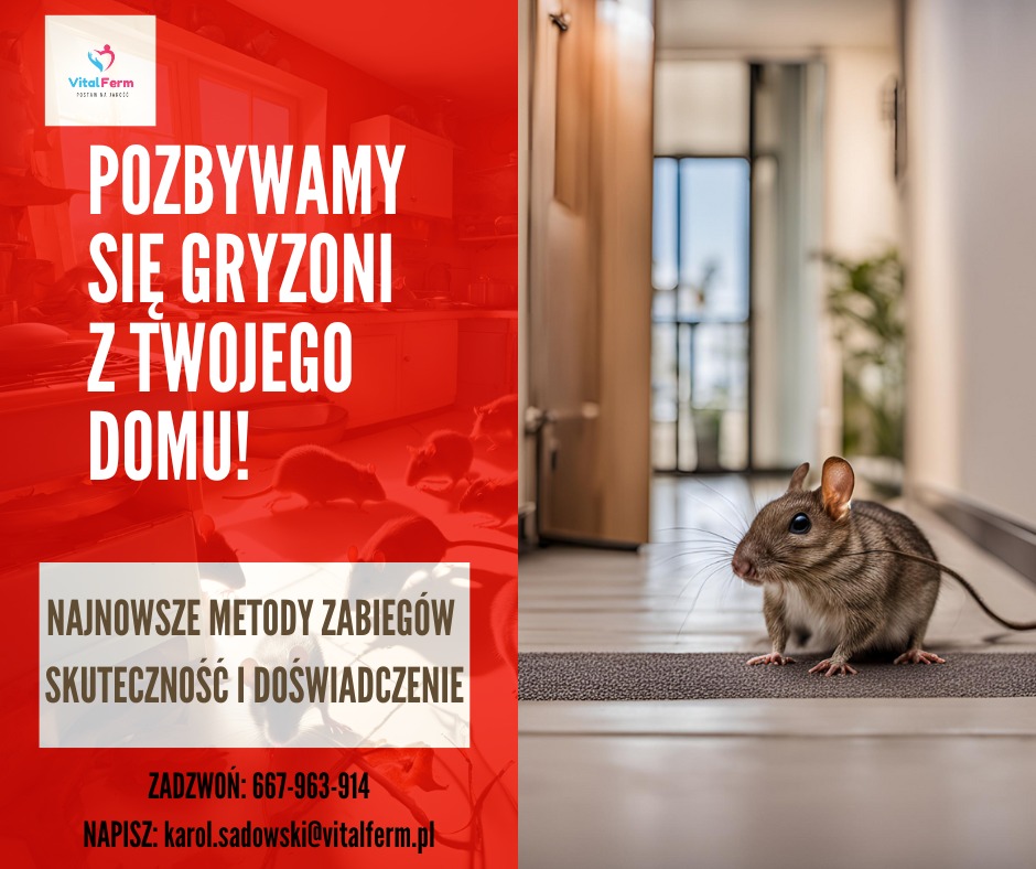 Mysz na wycieraczce w korytarzu, obok reklama firmy z hasłem 'Pozbywamy się gryzoni z Twojego domu!', widoczne logo firmy Vital Ferm oraz numer telefonu.