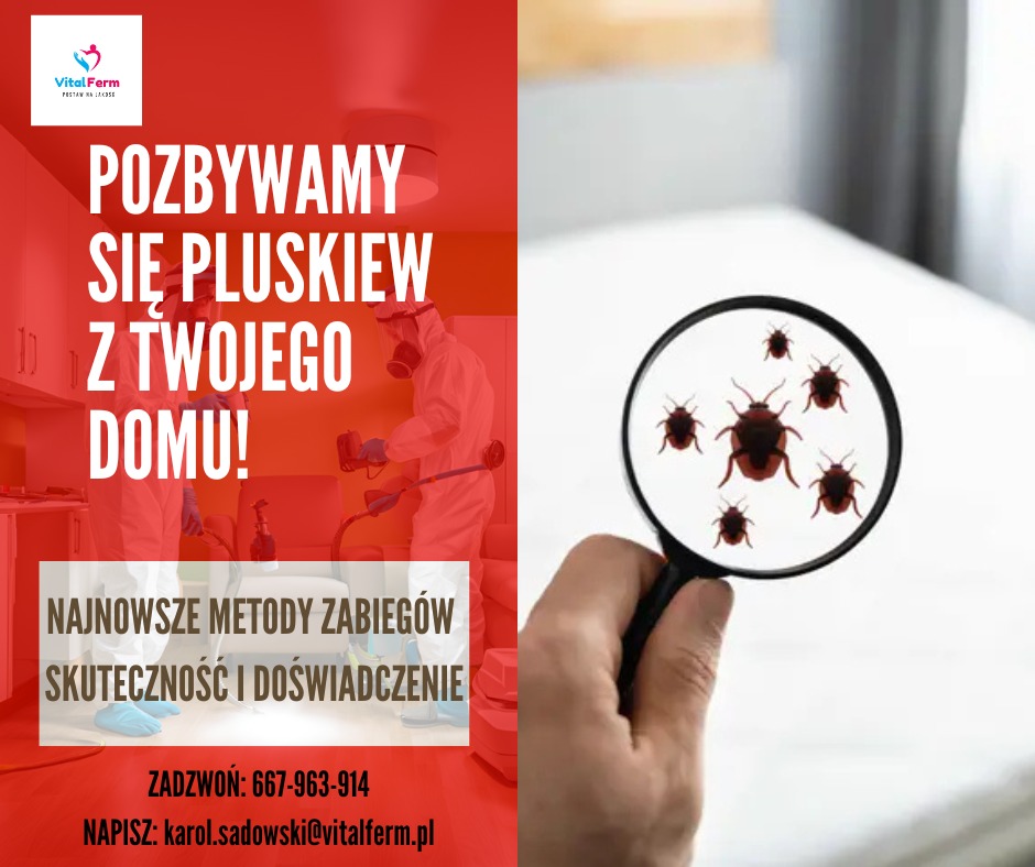 Grafika reklamowa z hasłem 'Pozbywamy się pluskiew z Twojego domu!', przedstawiająca osobę w kombinezonie ochronnym podczas dezynsekcji oraz powiększone pluskwy pod lupą.