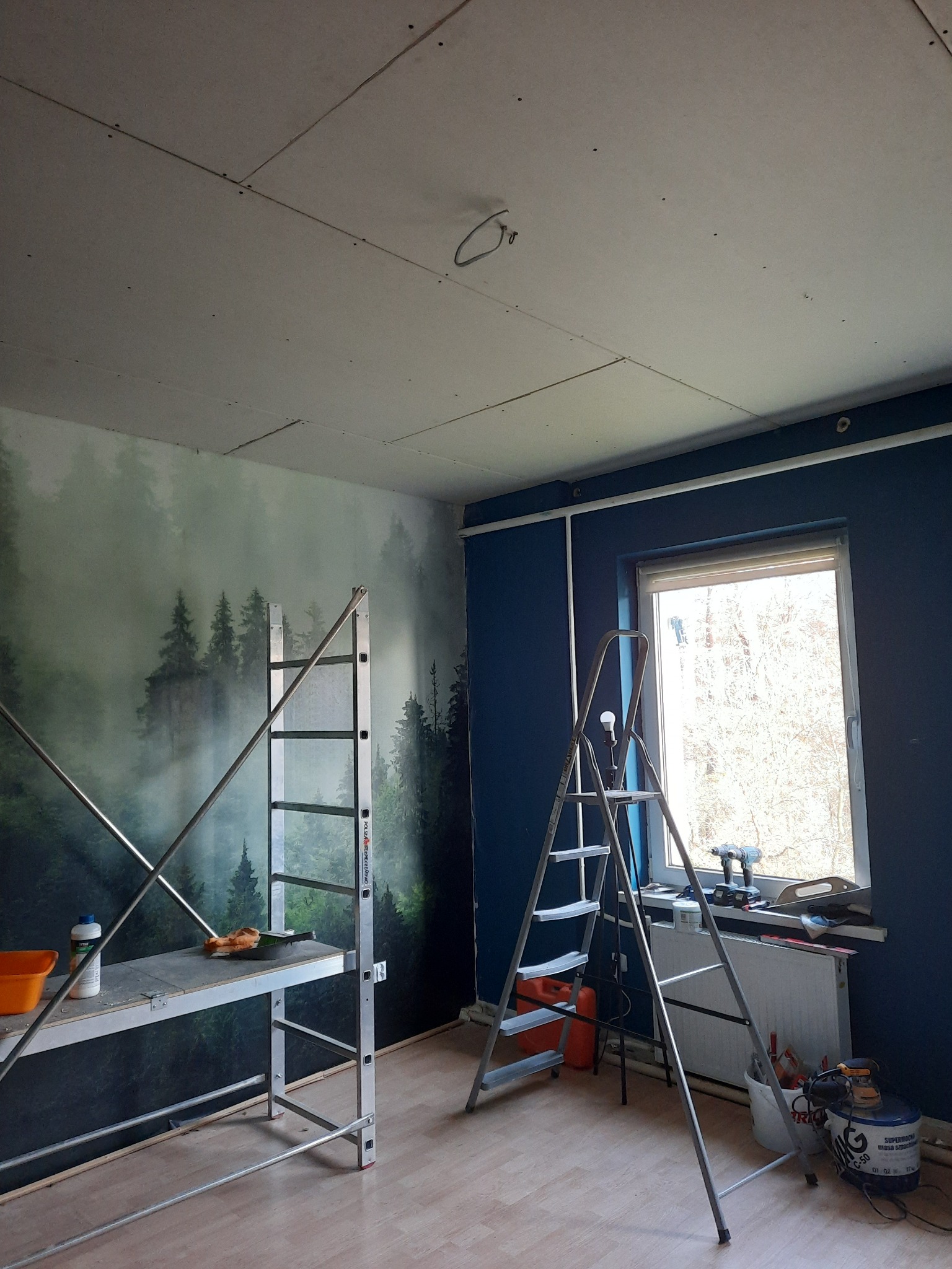 Wnętrze pokoju w trakcie remontu: sufit pokryty płytami kartonowo-gipsowymi, ściana z fototapetą leśną, drabina, rusztowanie i narzędzia malarskie przy oknie.