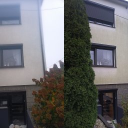SolarCare BORUSIAK GRZEGORZ - Porównanie połowy elewacji domu przed i po czyszczeniu, widoczne różnice w kolorze i czystości tynku, zieleń iglaków w tle.