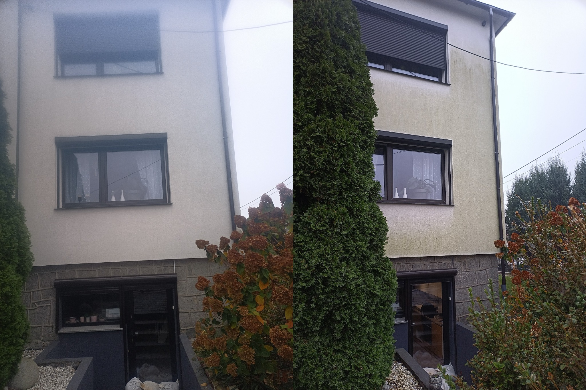 Porównanie połowy elewacji domu przed i po czyszczeniu, widoczne różnice w kolorze i czystości tynku, zieleń iglaków w tle.