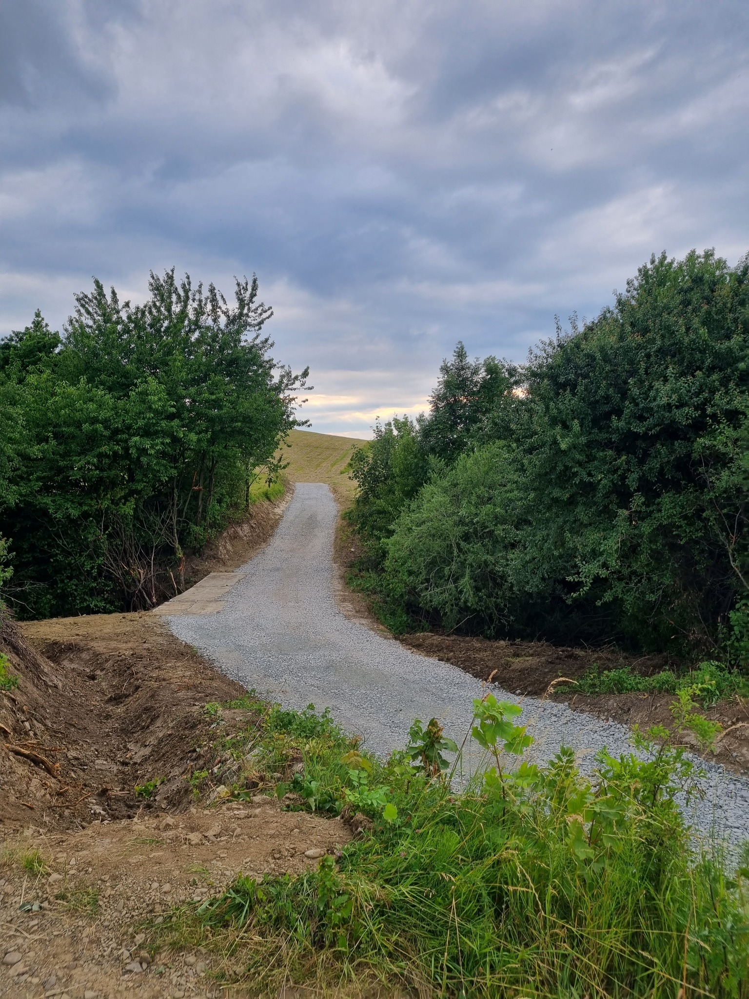 Utwardzona żwirowa droga prowadząca przez teren zielony, otoczona drzewami, pod pochmurnym niebem. Widoczny fragment wykopu po lewej stronie drogi.