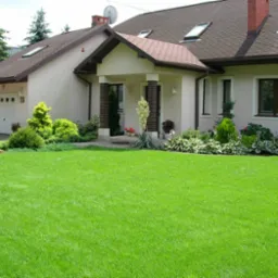 Zadbany ogród przydomowy z intensywnie zielonym trawnikiem, różnorodnymi krzewami ozdobnymi i drzewami iglastymi przed domem z beżową elewacją i brązowym dachem.