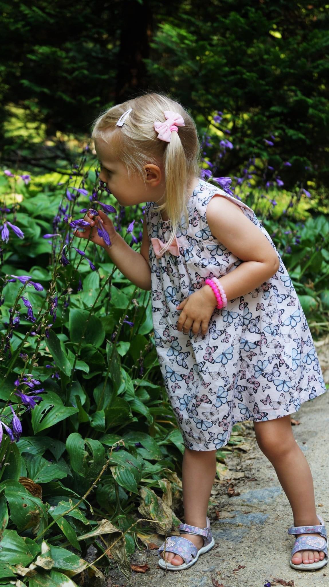 Dziewczynka w sukience w motyle z różową kokardką we włosach wącha fioletowe kwiaty w ogrodzie.